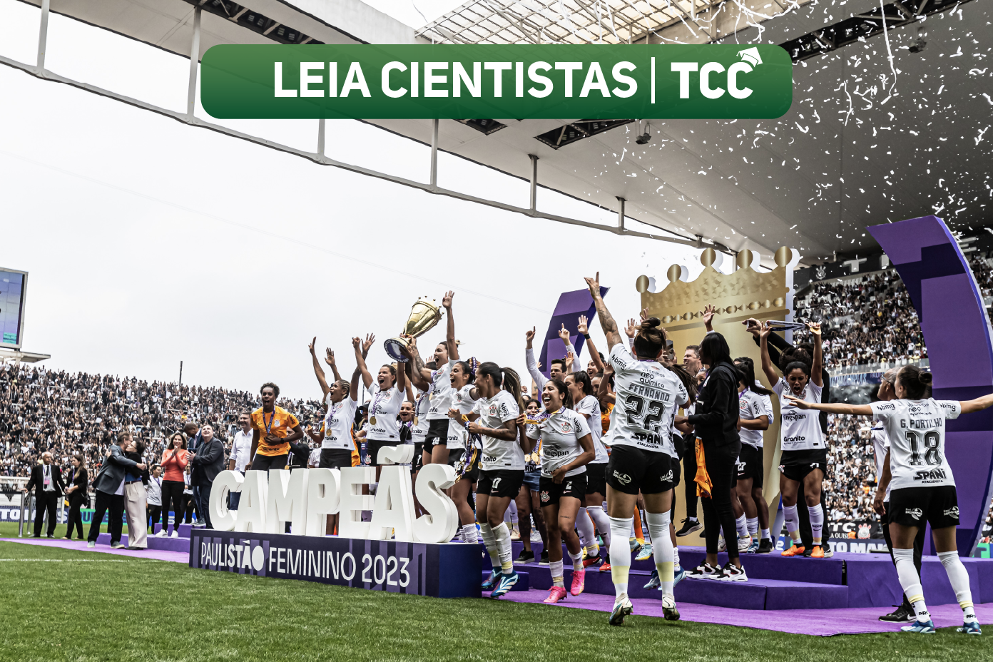 Campeonato Brasileiro tem mais três jogos hoje - O Diário Interativo Online