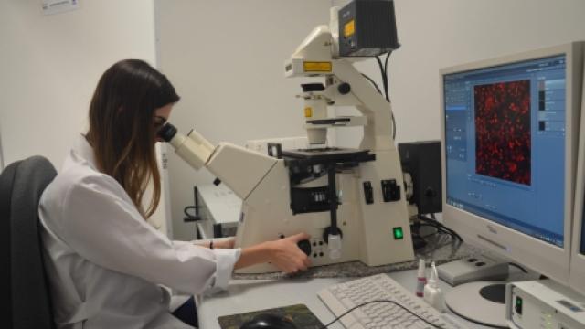 As pesquisas que fazem uso da microscopia avançada serão beneficiadas com os equipamentos de ponta da Rede de Laboratórios Multiusuários. (Foto: Alexandre Costa)