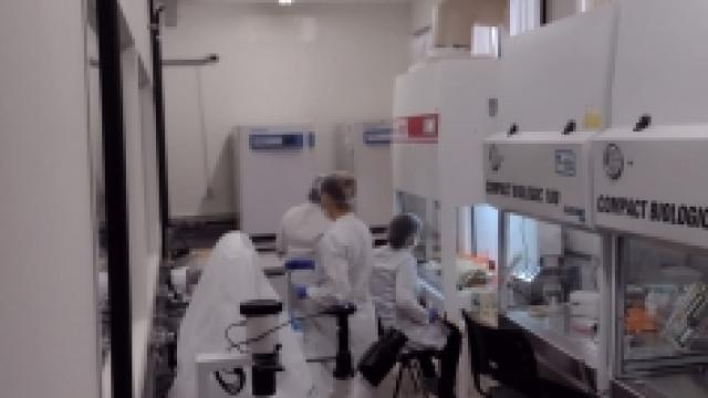 Laboratório de Genética e Biotecnologia. (Foto: Thaise Araújo)