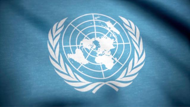 Bandeira das Nações Unidas