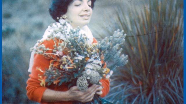 A escritora Dora Ferreira da Silva é tema do livro &quot;Flores de Perséfone&quot; (Foto: Divulgação)
