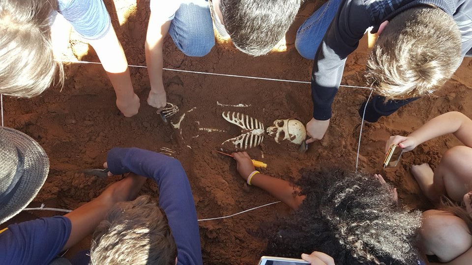 estudantes eseba arqueologia