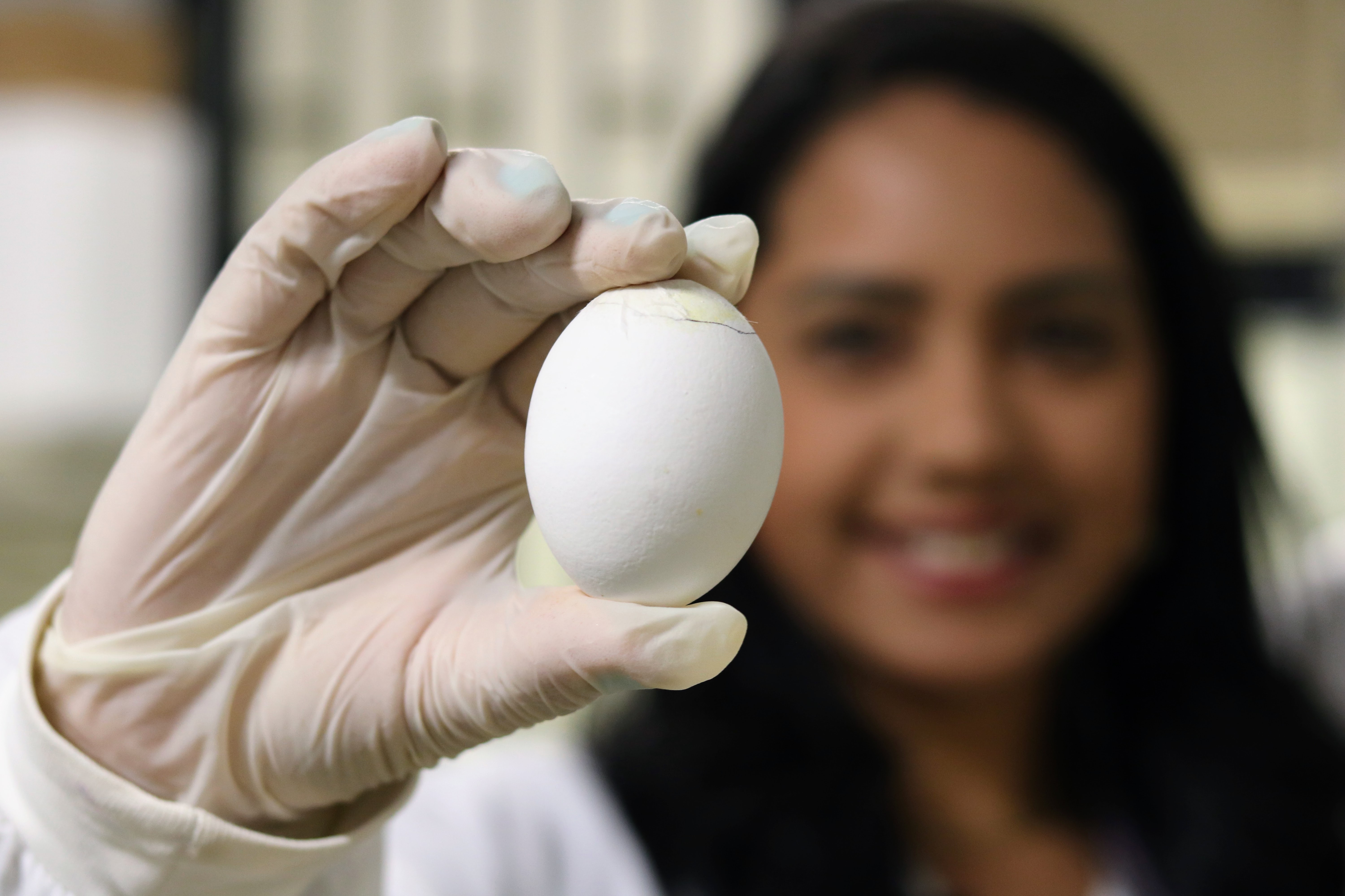 Imagem colorida e desfocada ao fundo mostra mulher de cabelos escuros sorrindo, enquanto segura um ovo destacando-o à frente