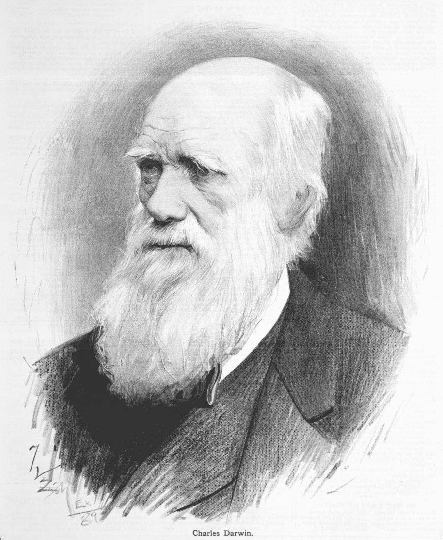 Charles Darwin, pai da Teoria da Evolução