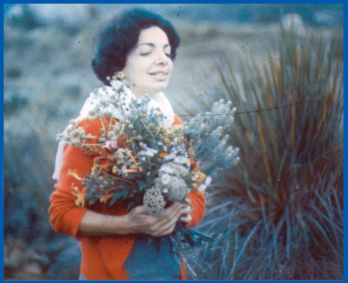 A escritora Dora Ferreira da Silva é tema do livro &quot;Flores de Perséfone&quot; (Foto: Divulgação)