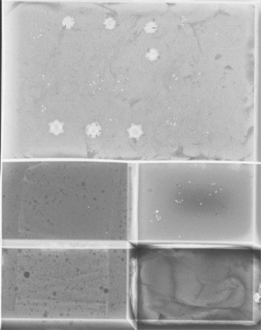 Imagem mamográfica realizada, na qual é possível observar as estruturas de teste