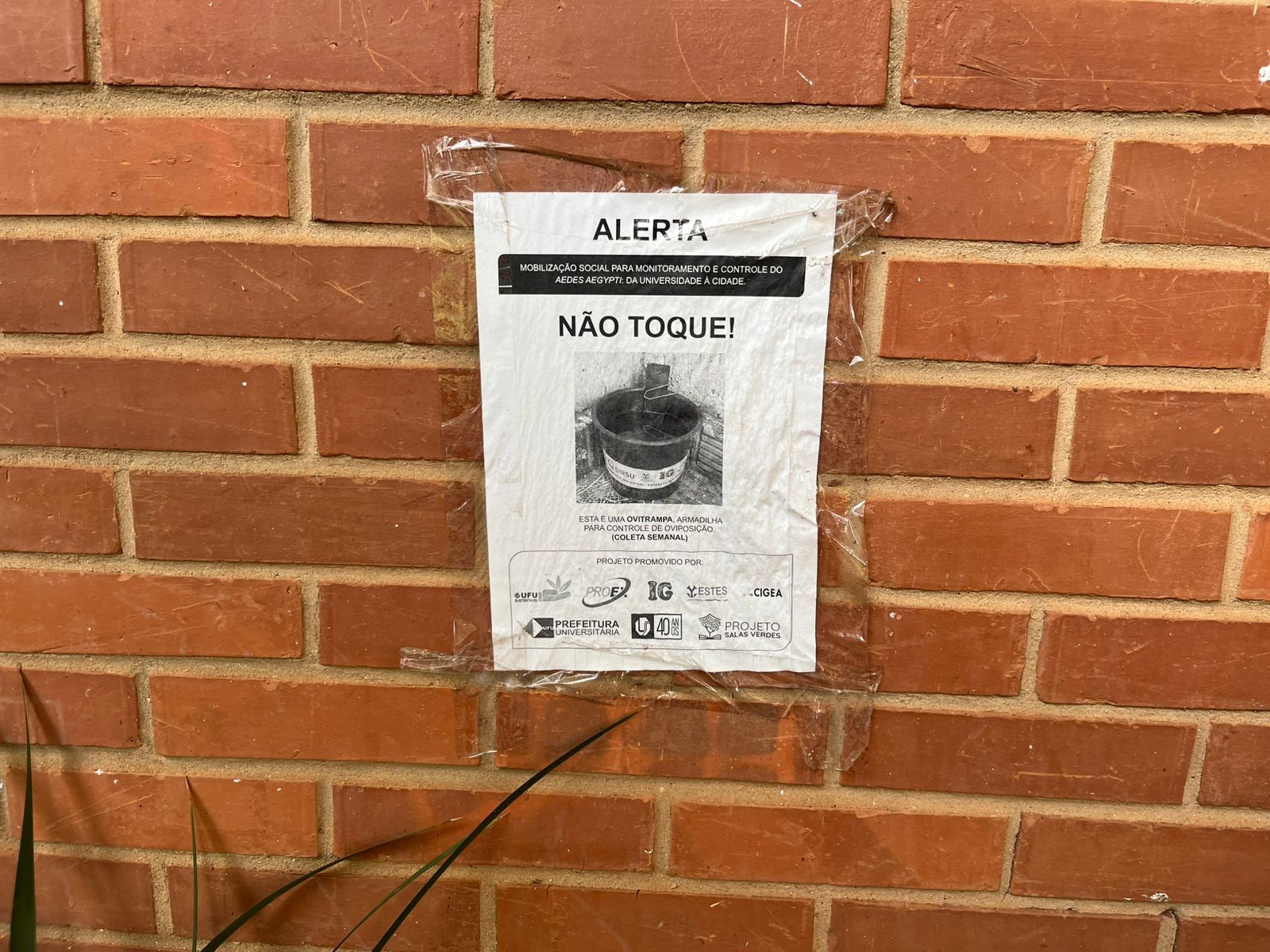 Aviso de alerta afixado em uma parede ou muro