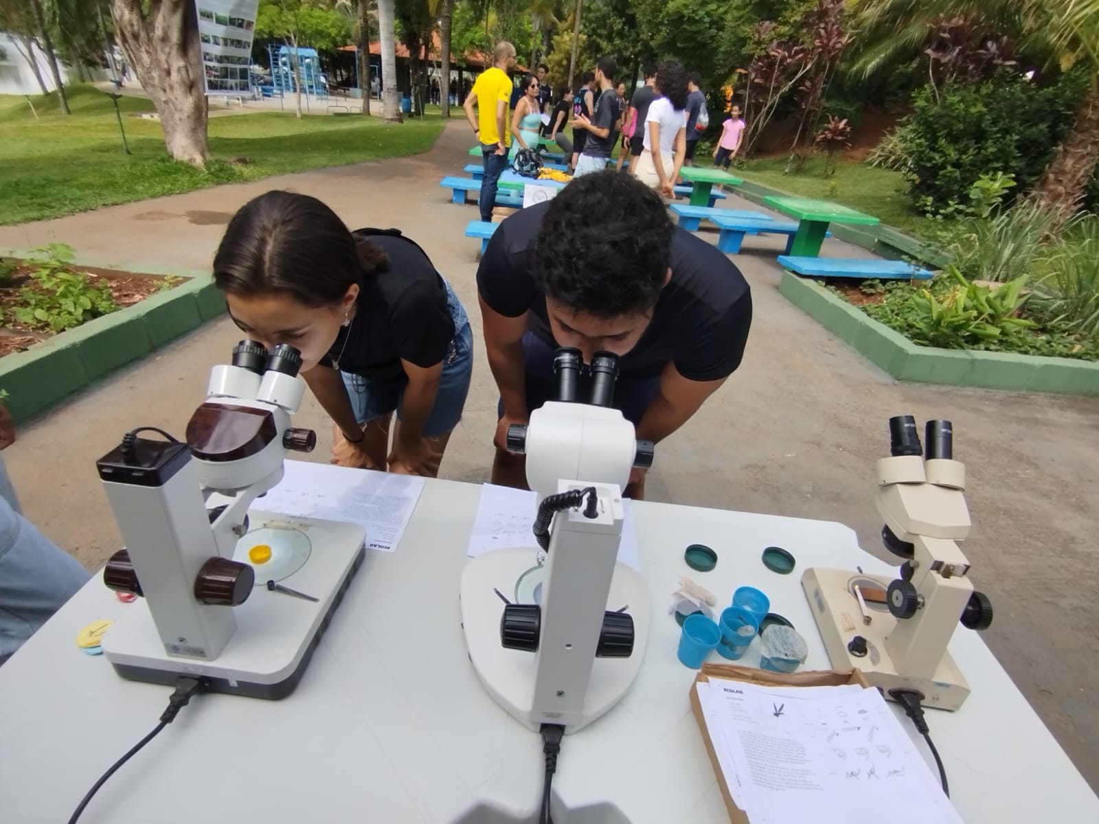 Foto de pessoas olhando no microscópio