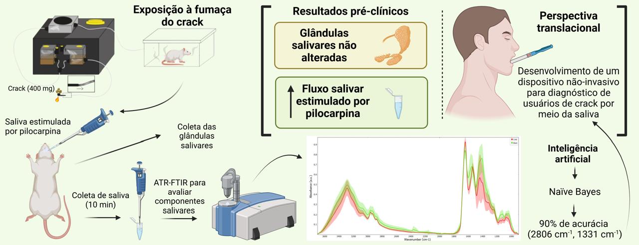 Esquema que representa a pesquisa