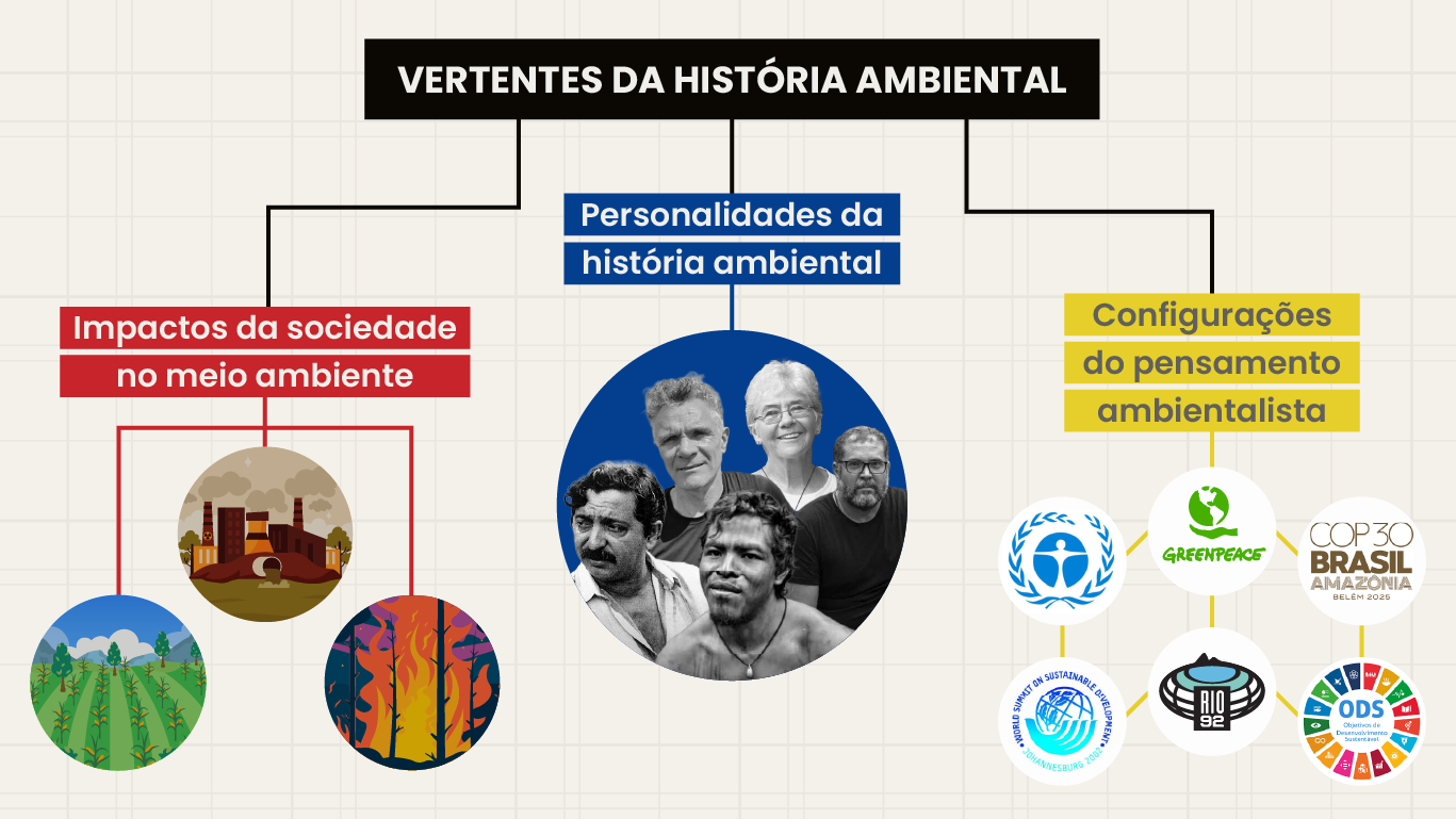 Infográfico sobre vertentes da história ambiental