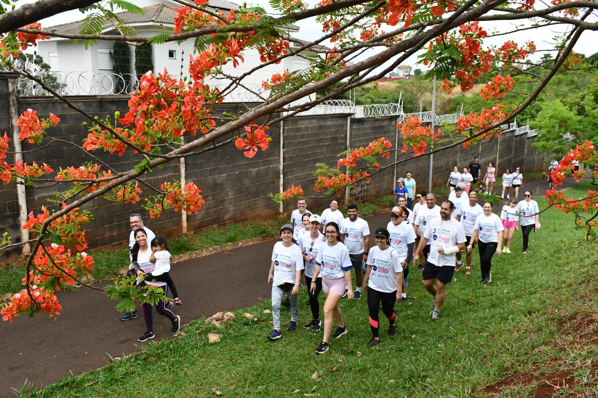 Imagem áreas da caminhada 