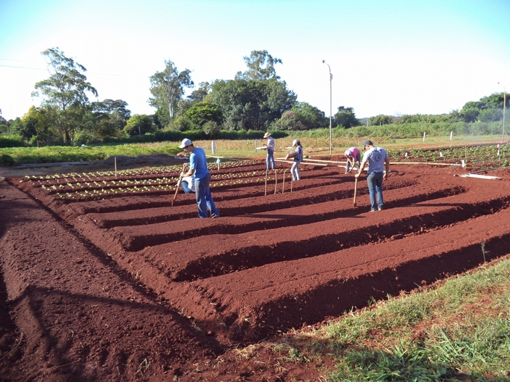 Atividades práticas Agronomia na Estação Experimental de Hortaliças, em Monte Carmelo