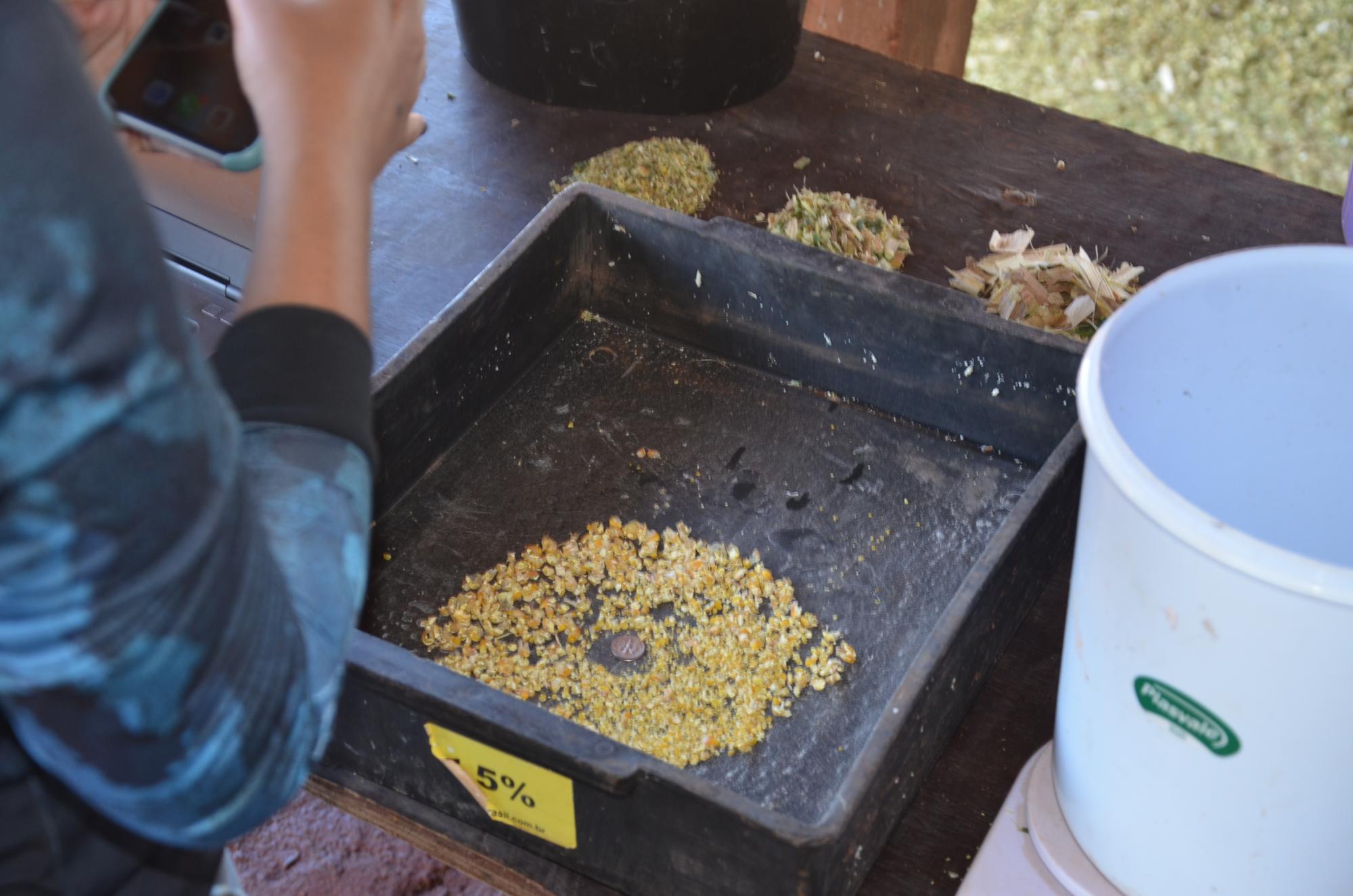 Discente fazendo a avaliação do tamanho da partícula 