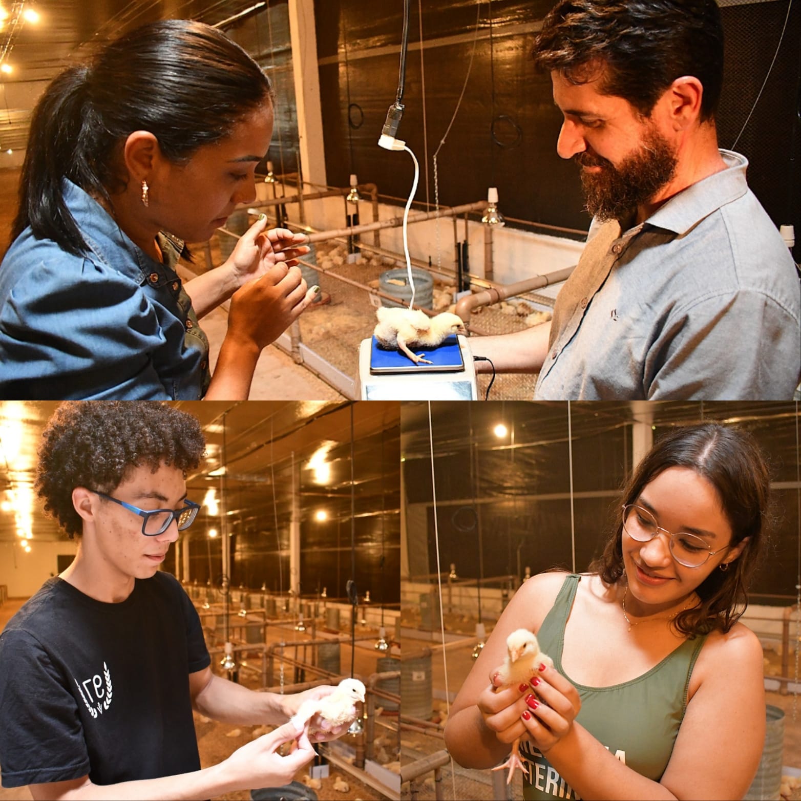 Montagem com os participantes do projeto