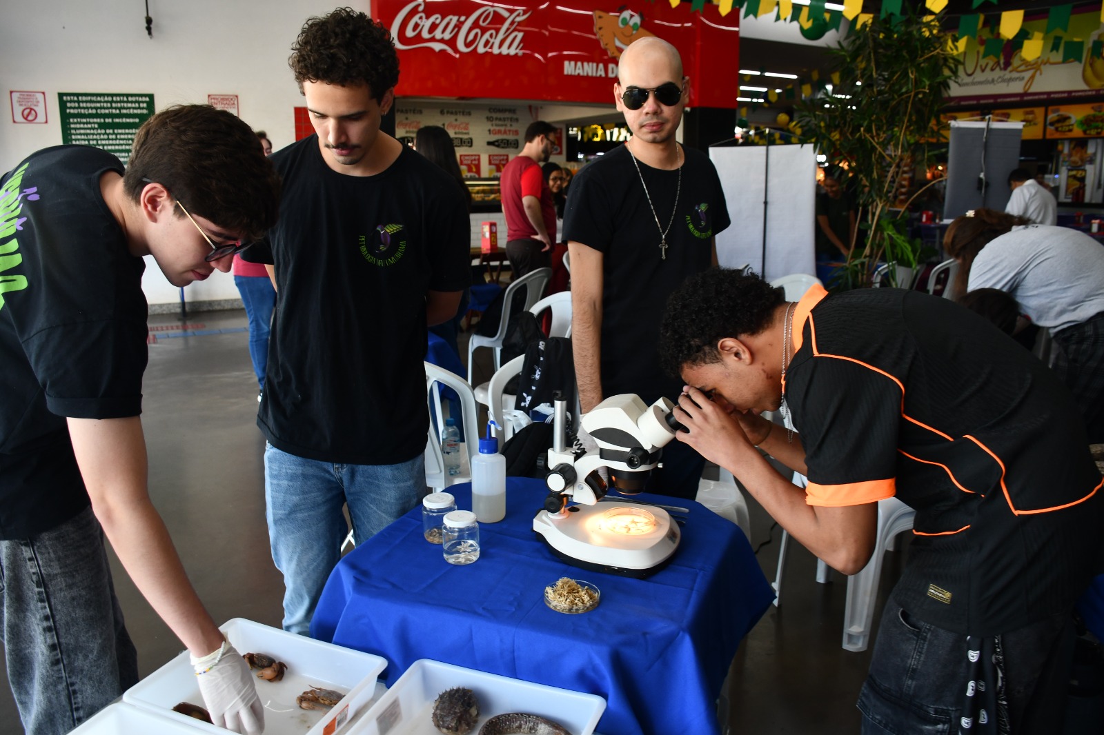 PET Biologia UFU leva animais marinhos para a mostra 