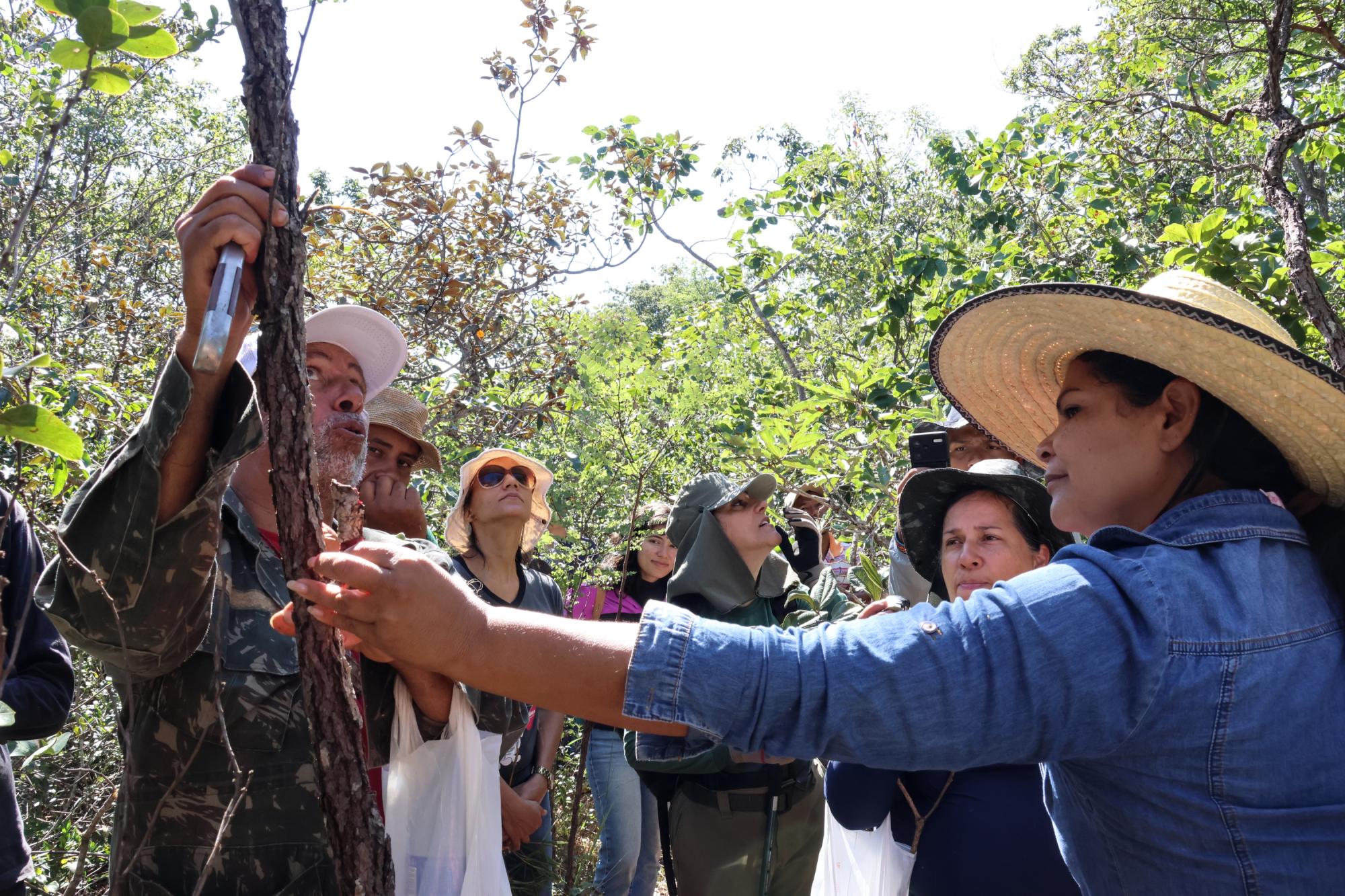 O raizeiro Mariozan de Freitas participa do programa com o reconhecimento de plantas do Cerrado