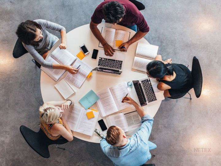 grupo de estudos netex