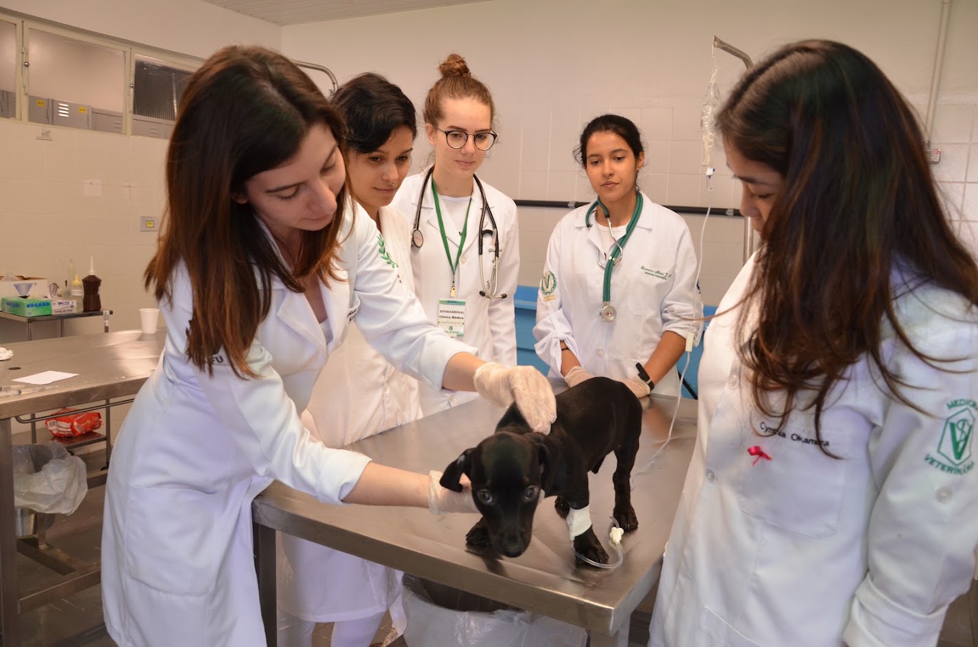 Foto de alunos da medicina-veterinária