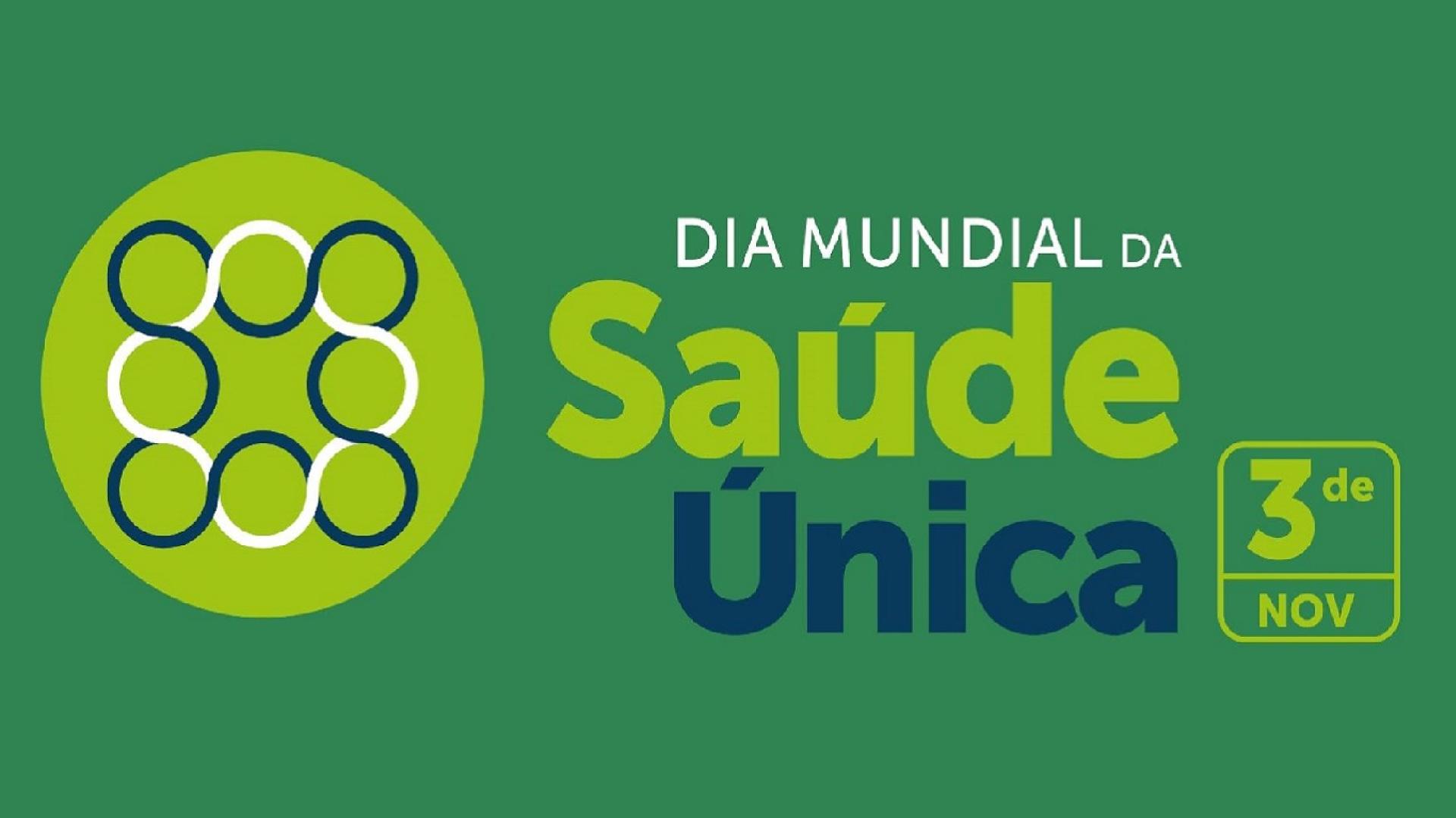 Arte com inscrição 'Dia Mundial da Saúde Única'