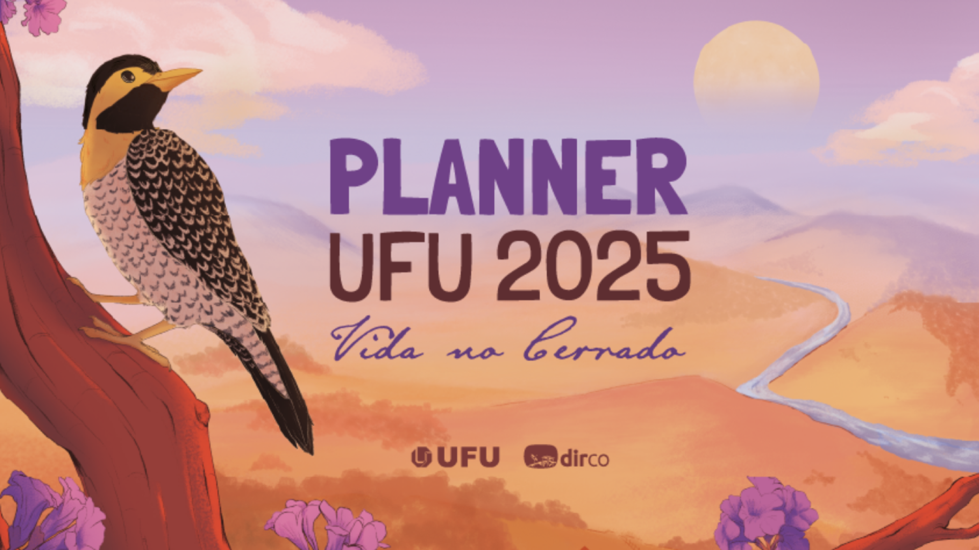 Capa do Planner