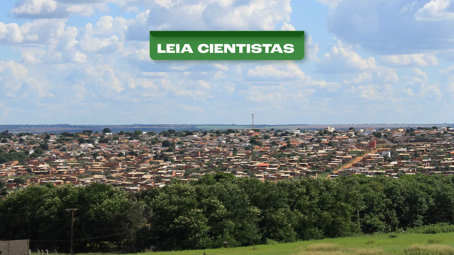 Perfil demográfico dos moradores de favelas e comunidades urbanas de Uberlândia