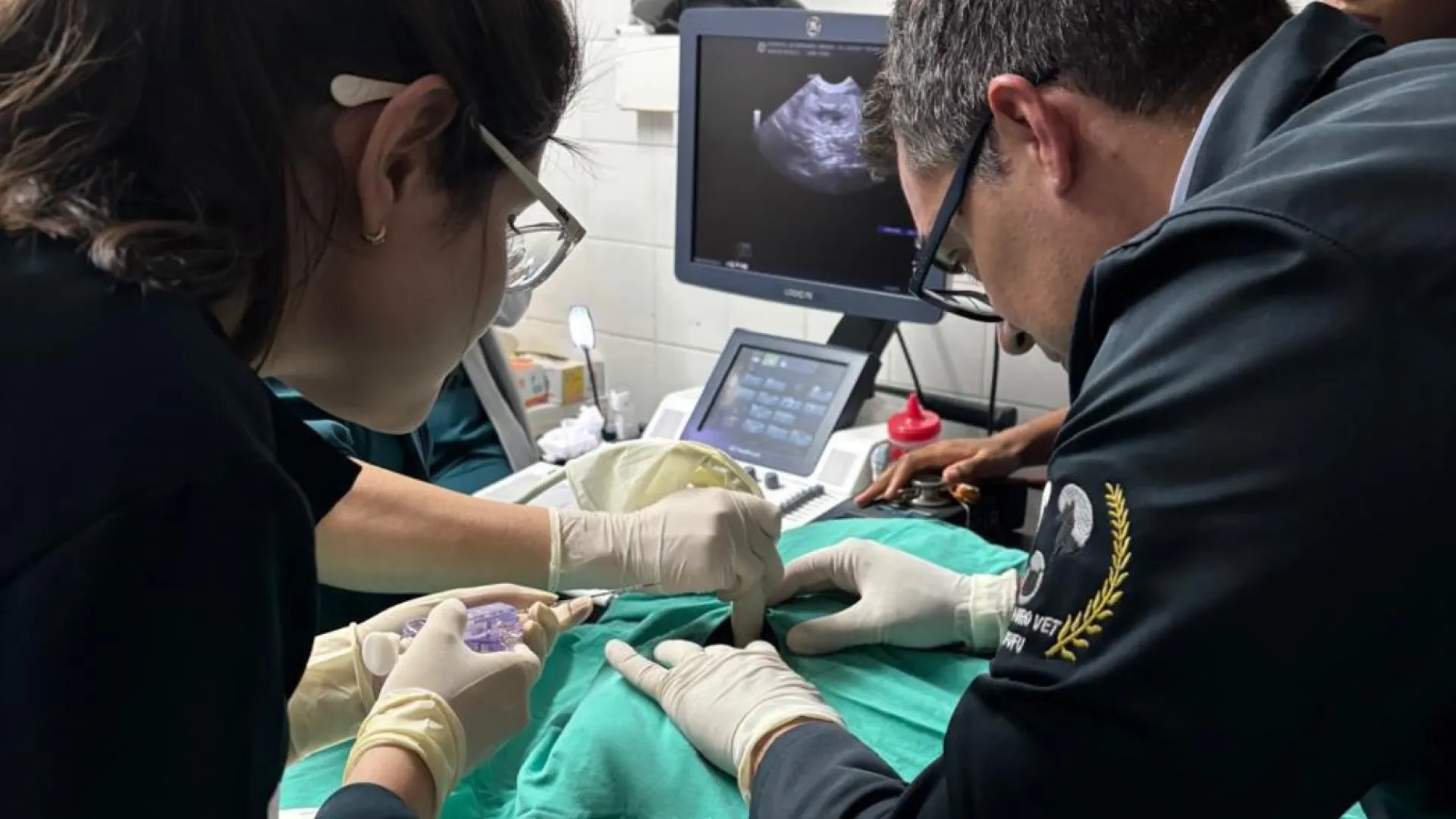 Hospital Veterinário da UFU retoma atendimento por meio de Convênio com Prefeitura Municipal de Uberlândia