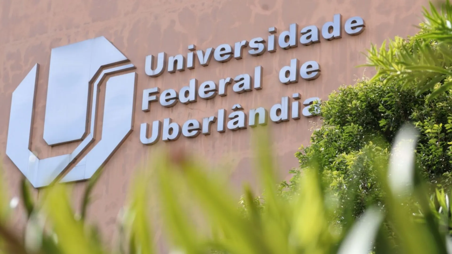 UFU abre processo eleitoral para novos membros da Comissão Permanente de Pessoal Docente