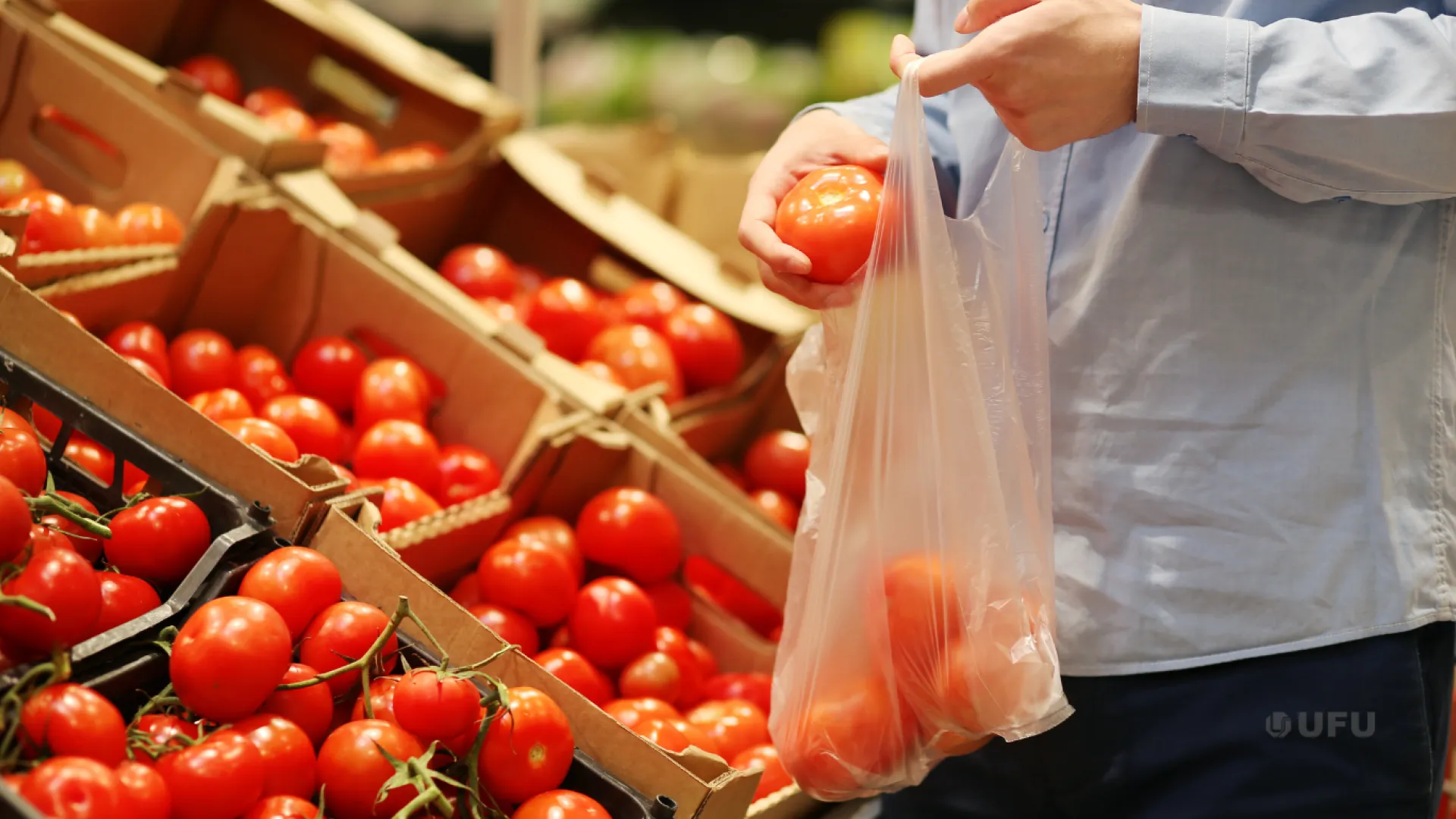 Combustíveis e tomate pressionam custo de vida em Uberlândia no início do ano