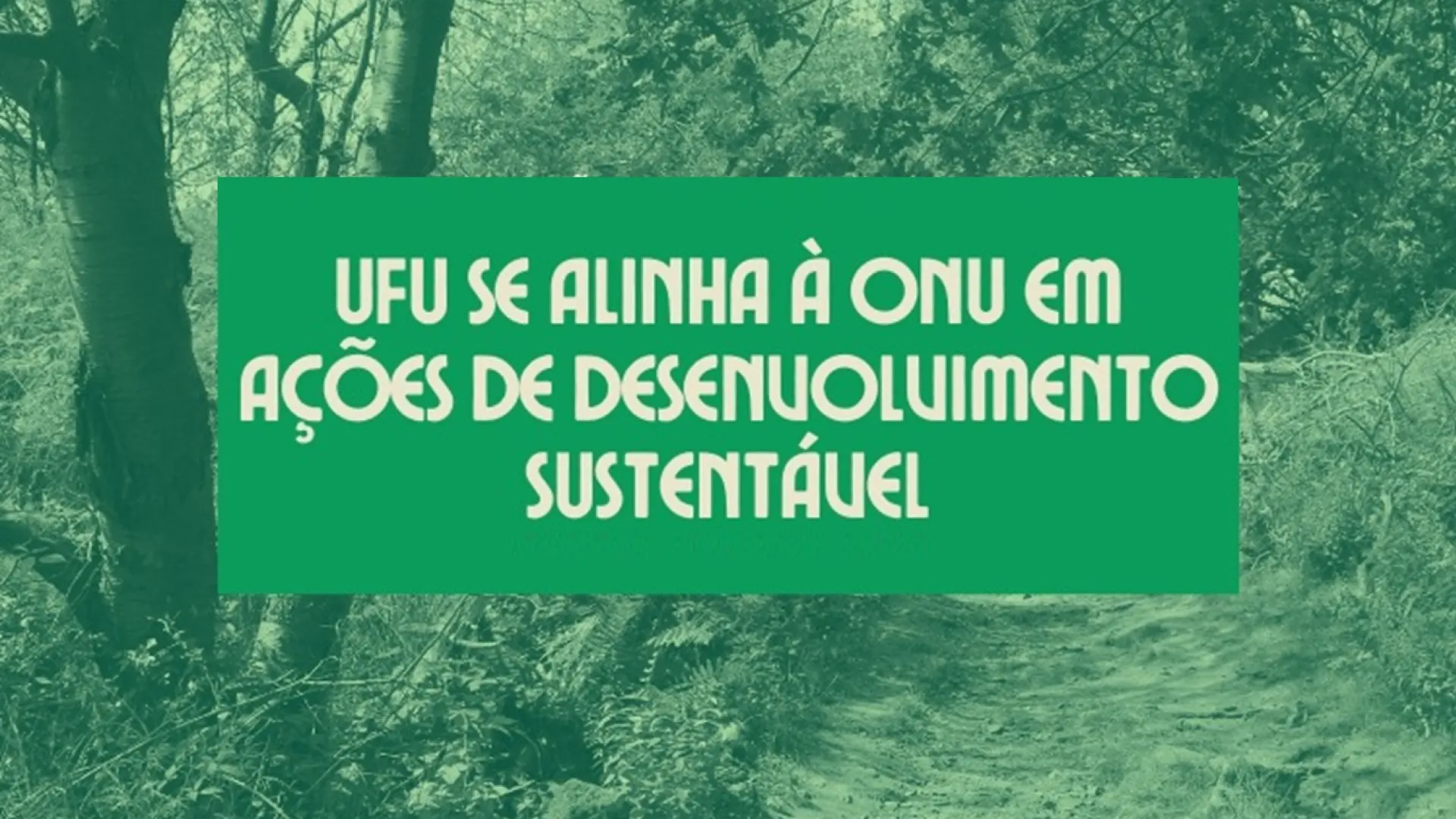 Arte de divulgação