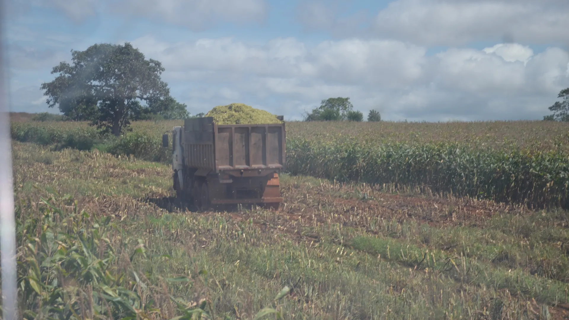 Caminhão levando o material colhido