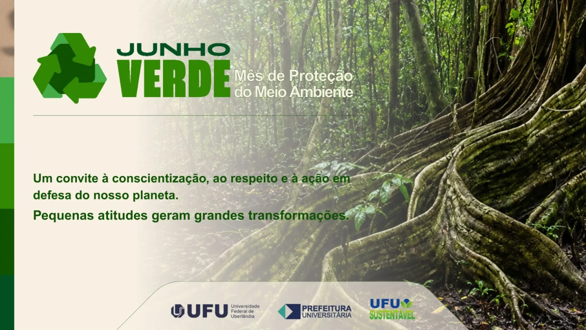 Cartaz do Junho Verde