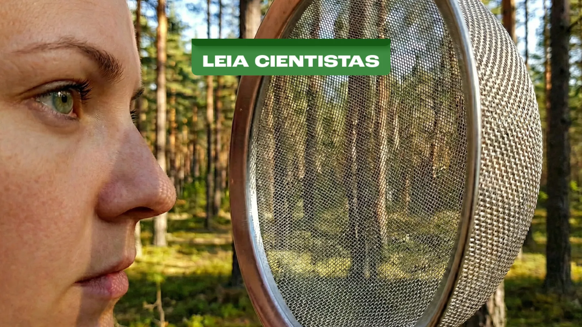 Inteligência Artificial sem supercomputadores 
