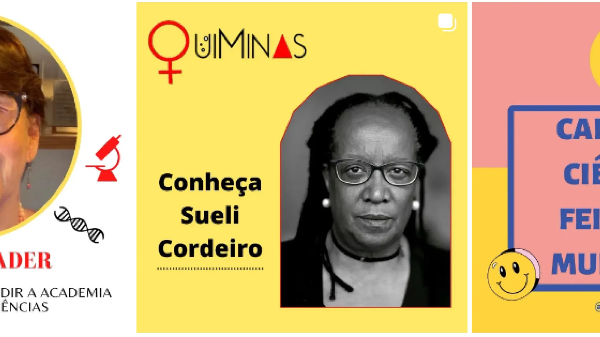 Colagem traz um print de posts feitos pelo Quiminas no Instagram