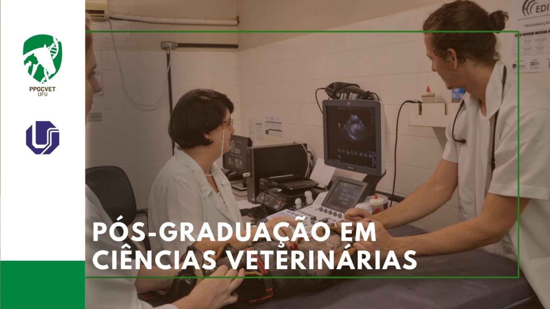 Banner Pós-Graduação em Ciências Veterinárias