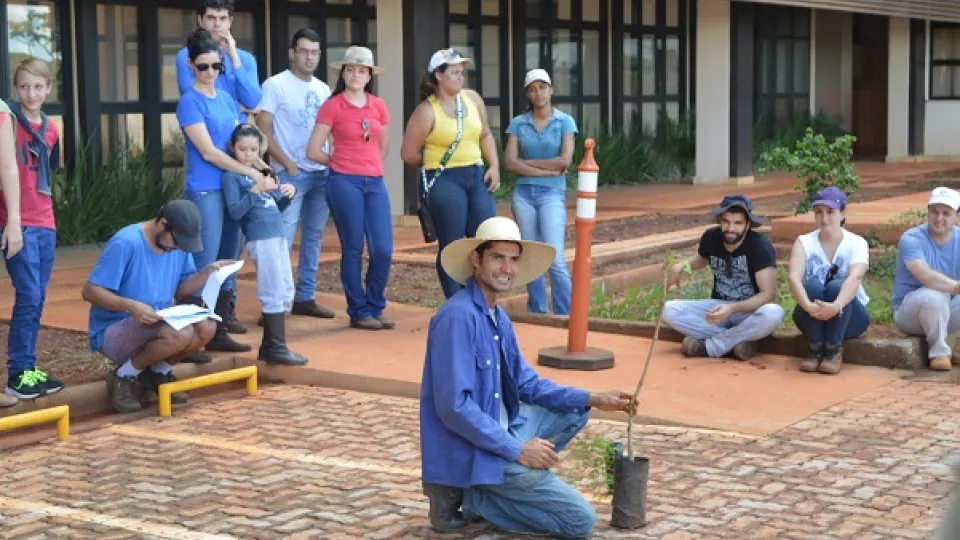 Foram plantadas cerca de 180 mudas doadas (foto: divulgação)