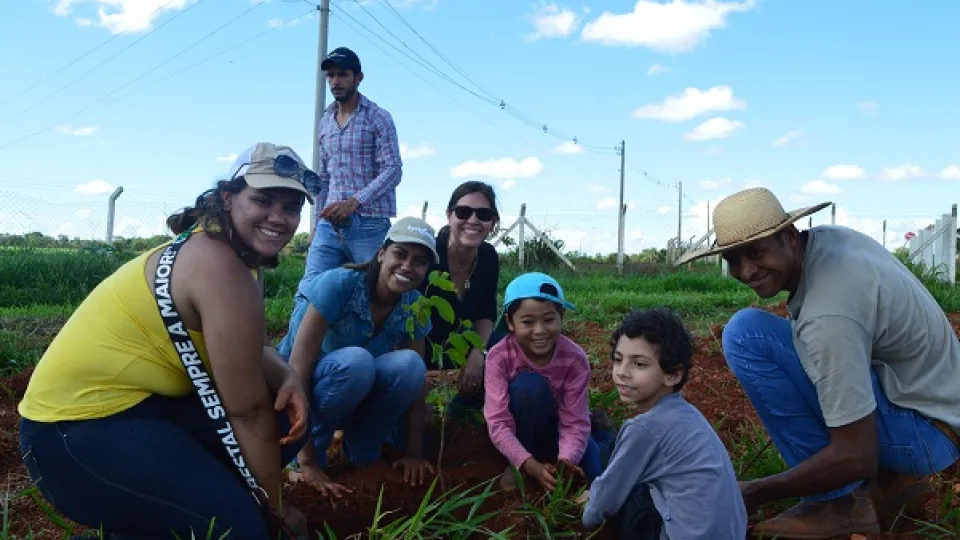 Foram plantadas cerca de 180 mudas doadas (foto: divulgação)