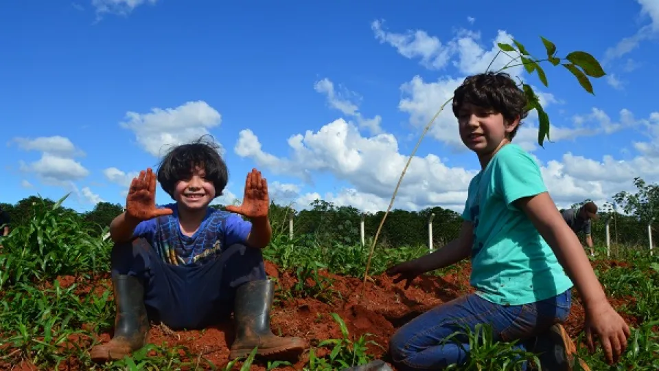 Foram plantadas cerca de 180 mudas doadas (foto: divulgação)