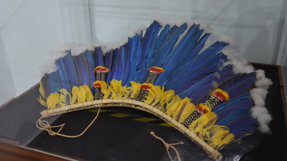 Artefatos do Museu do Índio (Foto: Milton Santos)