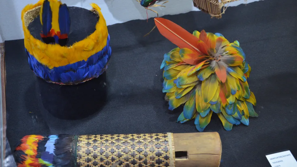 Artefatos do Museu do Índio (Foto: Milton Santos)