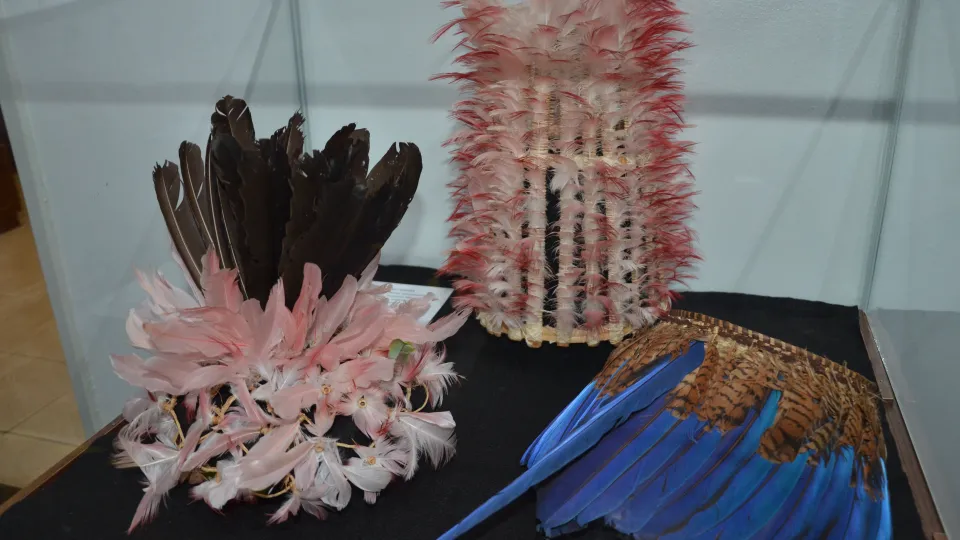 Artefatos do Museu do Índio (Foto: Milton Santos)