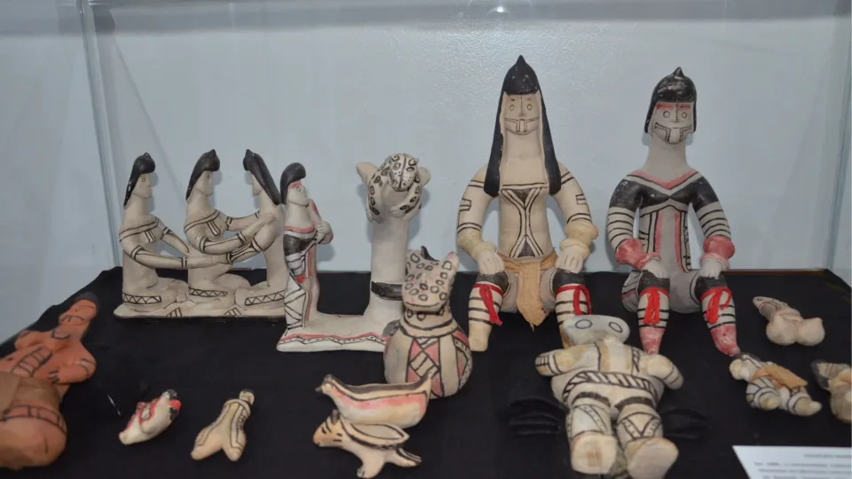 Artefatos do Museu do Índio (Foto: Milton Santos)