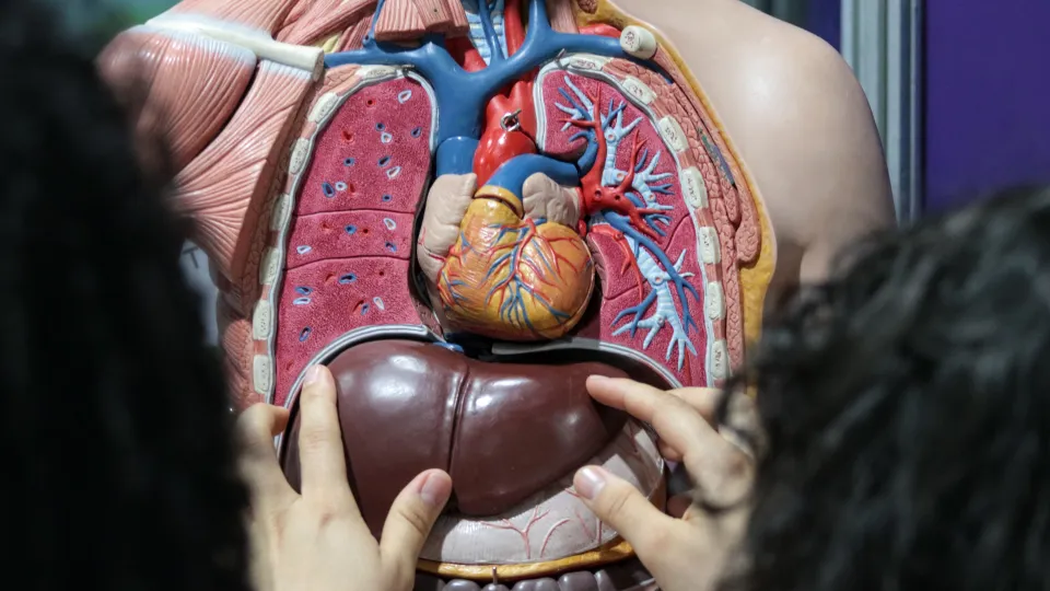 A 75ª Reunião Anual da SBPC está sendo realizada na UFPR (fotos: Marco Cavalcanti/UFU)