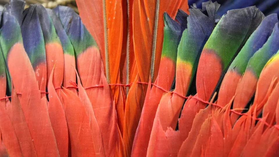 As coleções são formadas por cerca de 2.500 objetos (foto: Marco Cavalcanti)