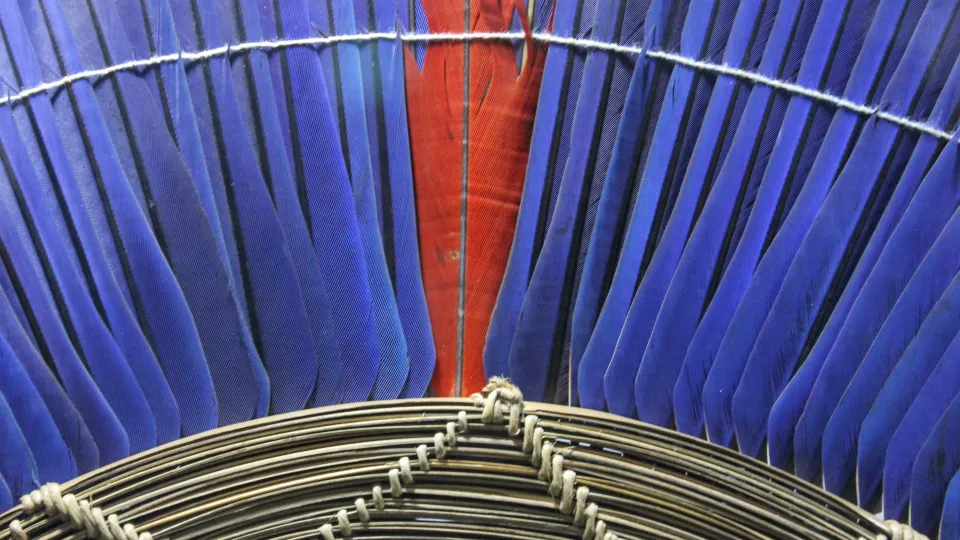 As coleções são formadas por cerca de 2.500 objetos (foto: Marco Cavalcanti)