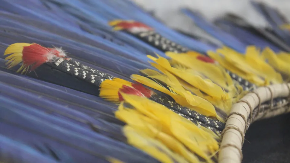 As coleções são formadas por cerca de 2.500 objetos (foto: Marco Cavalcanti)