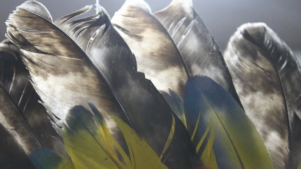 As coleções são formadas por cerca de 2.500 objetos (foto: Marco Cavalcanti)