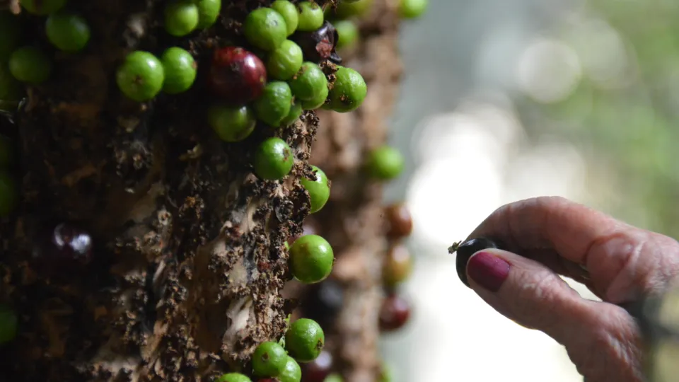 Marlene Colesanti no quintal de sua residência