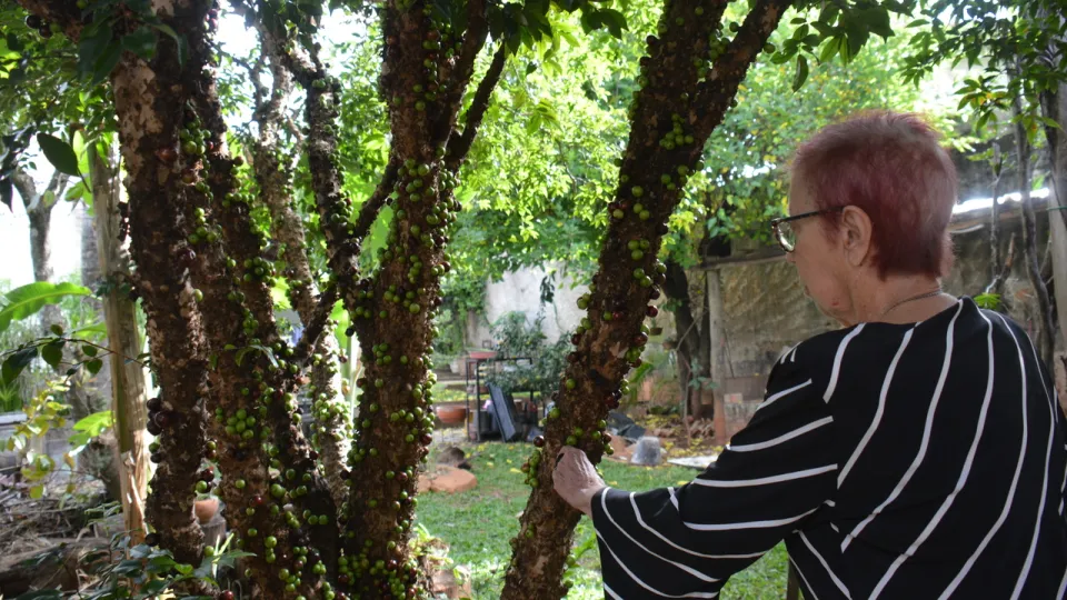 Marlene Colesanti no quintal de sua residência