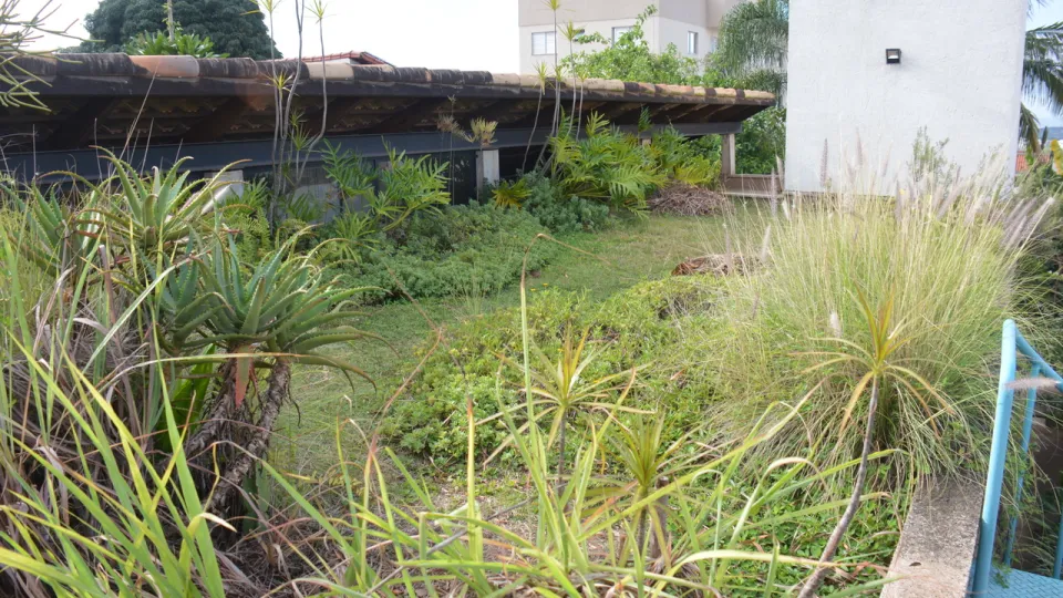 Telhado ecológico da redência da professora Marlene Colesanti