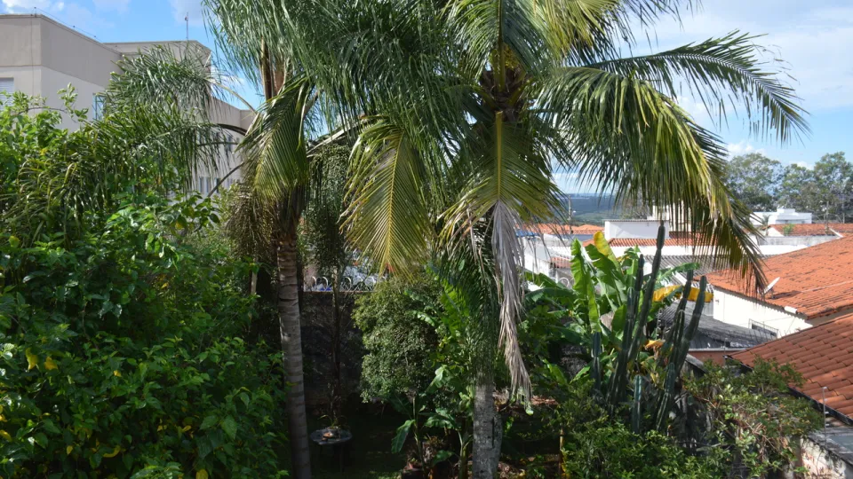 Telhado ecológico da redência da professora Marlene Colesanti